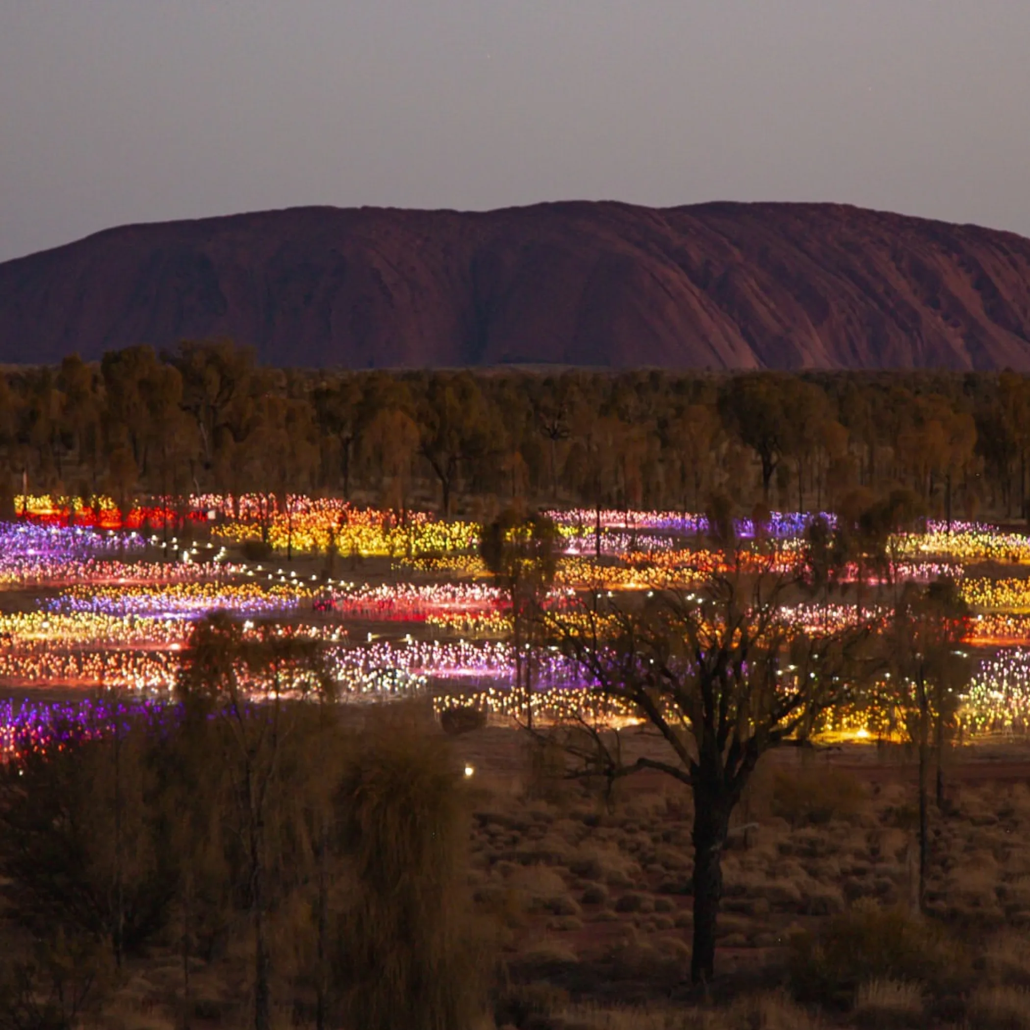 uluru with colorful field of light