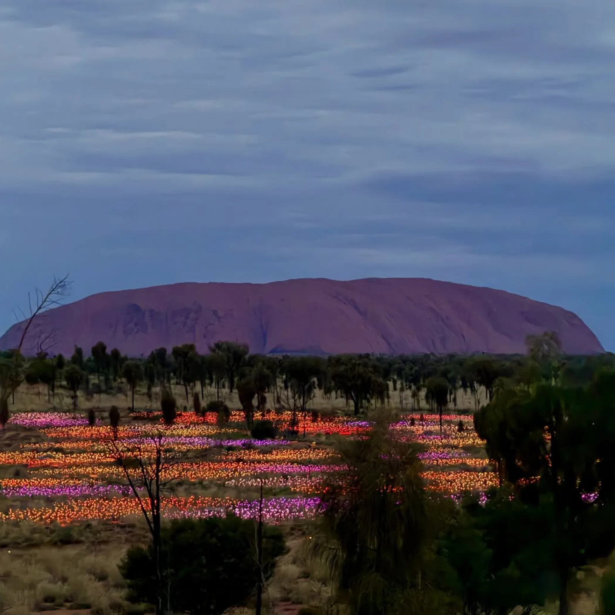 uluru and field of light installation